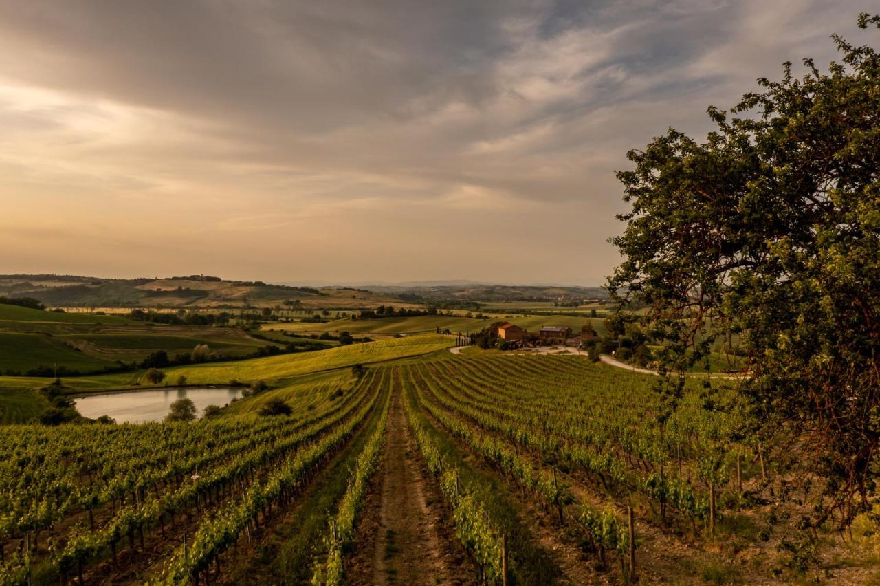 Wine Resort Colsereno 몬탈치노 외부 사진