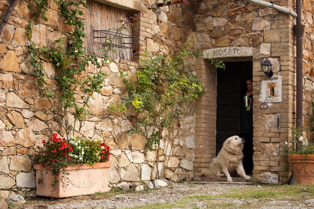 Wine Resort Colsereno 몬탈치노 외부 사진