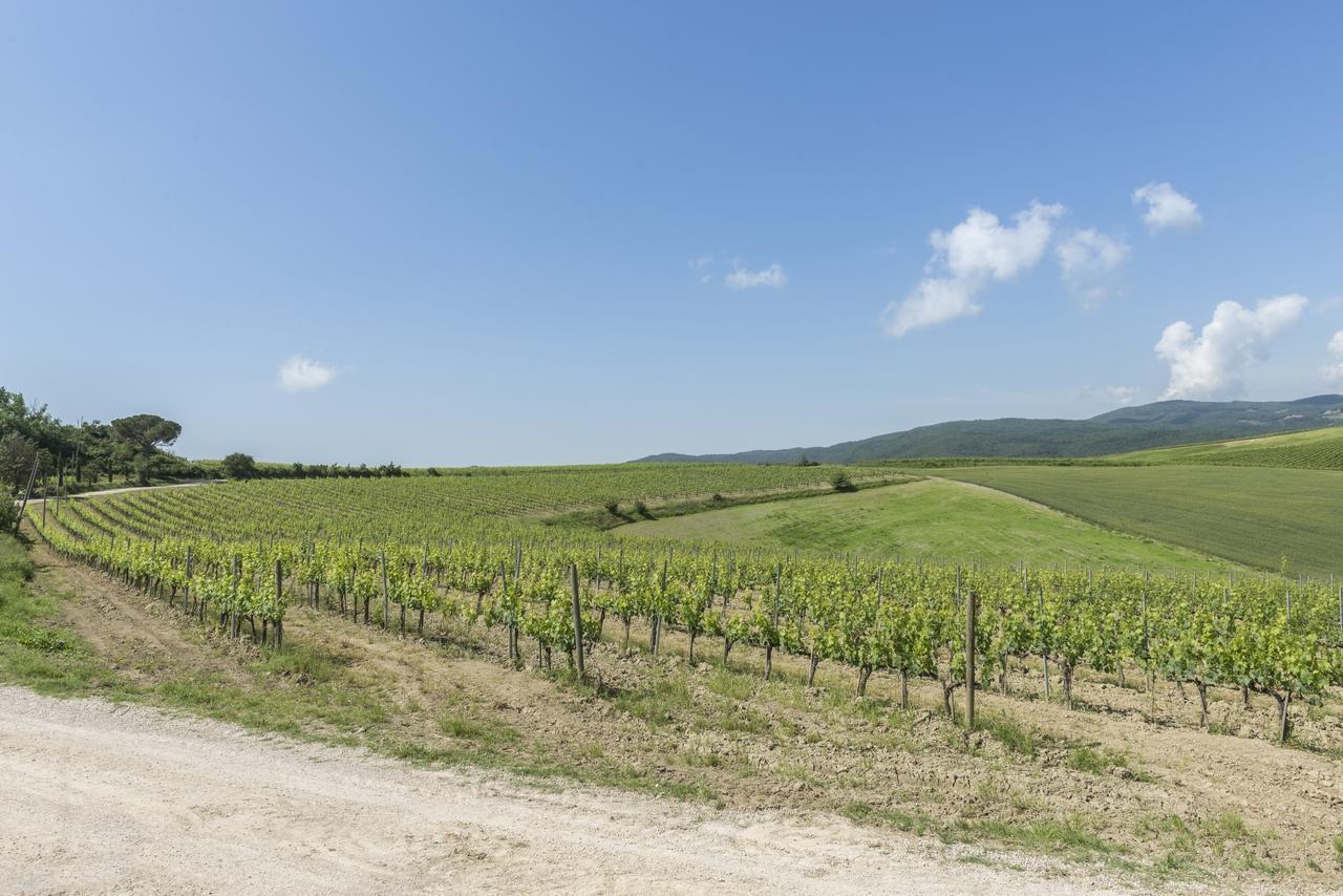 Wine Resort Colsereno 몬탈치노 외부 사진